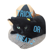 Sticker on Halloween of Koo and MUSASHI