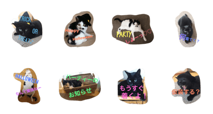 Sticker on Halloween of Koo and MUSASHI