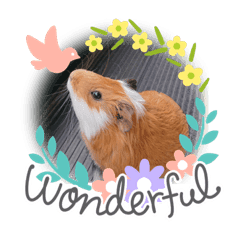 モルモットと猫 Lineクリエイターズスタンプ Stamplist モルモットと猫 Lineクリエイターズスタンプ Stamplist