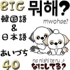 【Big】シーズー40『韓国語＆日本語』相槌