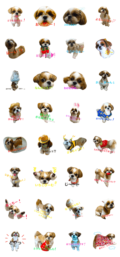 ichikochan