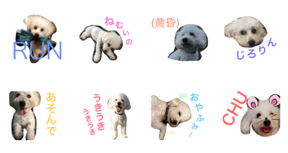 kinako's day