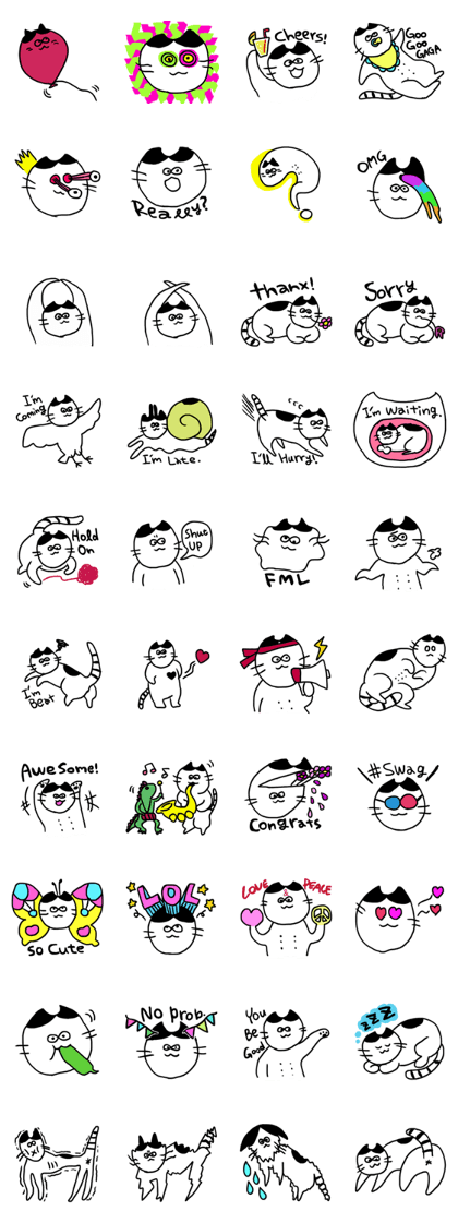 FUJICO is CAT.