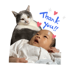 natsumi_20210604143436