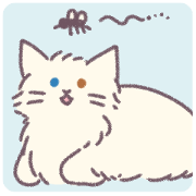 lovely HONYAN