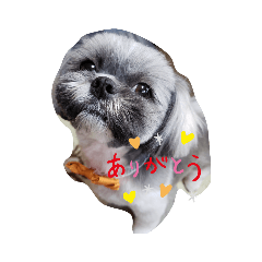 yuka_20210807170431