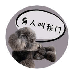 熊熊小舖