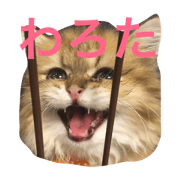 Bono's cawaii stamp