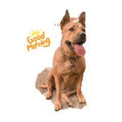 Aonnoiiz_20210807095032