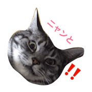 harumomonikki
