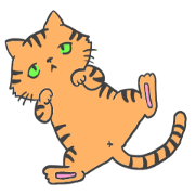 Living with a cat