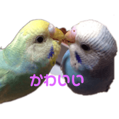 yuka_20210807135343