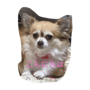 tiwawa chan