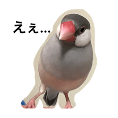 Matsu_20210807080947