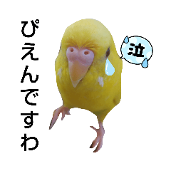omochi_20210807131137