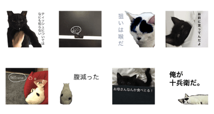 KYODAY
