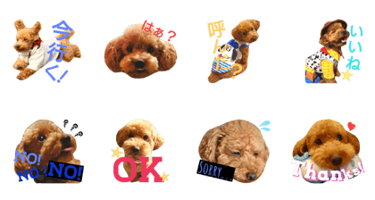 Chachamarukun stamp