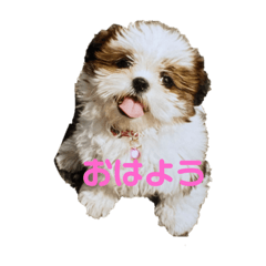 yuka_20210807150632