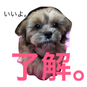 i am monja ! no.2
