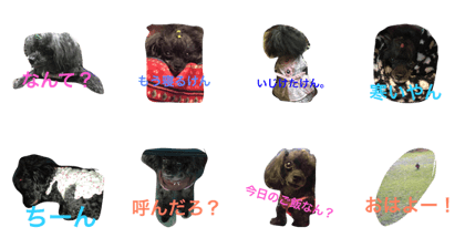 mocha's hakata words