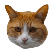 munyanko4
