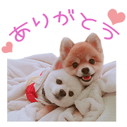 POME DAYS BOSS'S Sticker