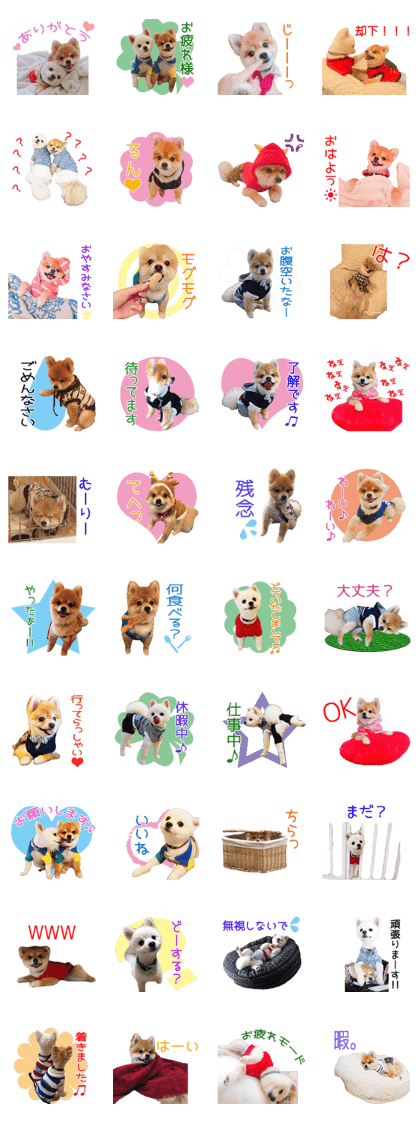 POME DAYS BOSS'S Sticker
