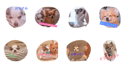 Cocoguri's EveryDay