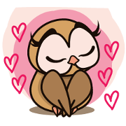 Namu Chubby Owl