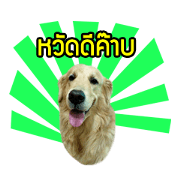 Phanin
