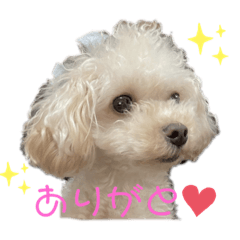 rina_20210807153100