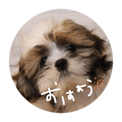 chan_20210807134135