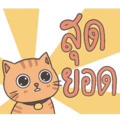 ทีมแมวส้ม 2 : อ่านง่าย