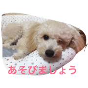 kusokawa