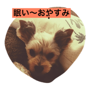 yo-ki-rena