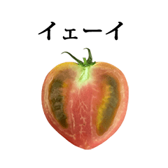 tomato hanbun 2