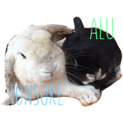 ALU&TONSUKE