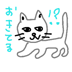 happy cat7 2