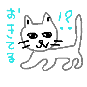 happy cat7 2