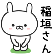 Rabbit For INAGAKI