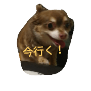 Tiwawa? Tyobi