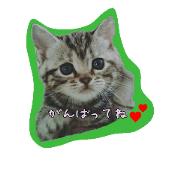 pocomari5