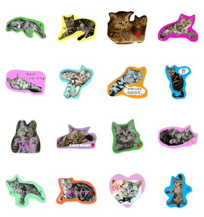 pocomari5