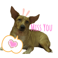 orange_20210807130526