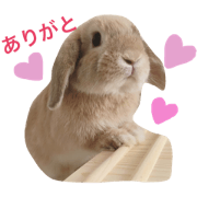 Hello mametaro