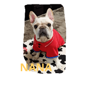 nanahachi