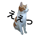 Latte san