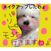 mokotaro