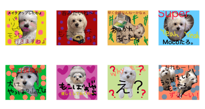 mokotaro