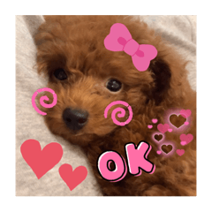 rina_20210807210054 – LINE 스티커 | LINE STORE